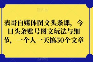 表哥自媒体图文头条课，今日头条账号图文玩法与细节，一个人一天搞50个文章-云界方舟