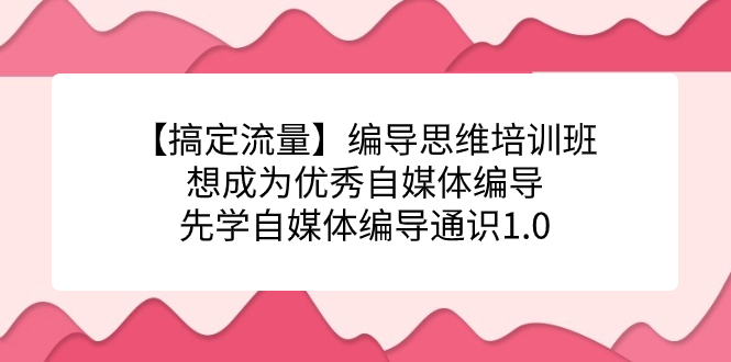 （7281期）【搞定流量】编导思维培训班，想成为优秀自媒体编导先学自媒体编导通识1.0-云界方舟
